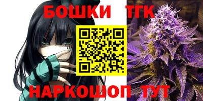крисы Тверь