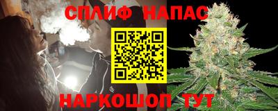 крисы Тверь