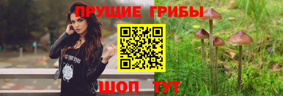 Новотроицк  Галлюциногенные грибы MAGIC MUSHROOMS  Вход с VPN 